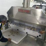 Cryogenic Freezer, Iqf Freezer, 300kg per Hour thumbnail-2