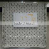 OEM Blow Moulding Plastic Board Beach Chair Board Chair Board for Kid thumbnail-6