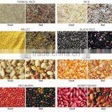 Grain Seed Selecting Machine thumbnail-5