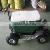 ELECTRIC MOTOR SCOOTER SX-G110 thumbnail-1