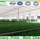 Commercial Polycarbonate Sheet Greenhouses for Sale thumbnail-3
