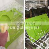 Silicome Suction Bowl Sectional Baby Plate/Placemat thumbnail-3