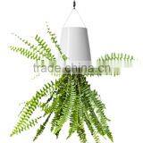 New Arrival Hanging Flower Pot Sky Planter Upside-Down Plant Pot Fashion Sky Planter thumbnail-3