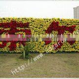 Outdoor Self Watering Vertical Green Wall Pots and Planters thumbnail-1