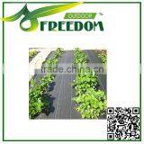 Cheap Price Agriculture Black Plastic Ground Cover thumbnail-1