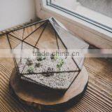 Terrarium Large Strange Geometric Triangle Shape Staine Glass Terrarium Succulent Flowerpot thumbnail-4