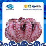 Frozen Big Octopuses for Sale From Superior Seller thumbnail-1