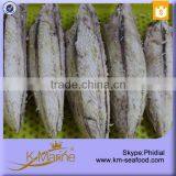 China Professional Tuna Loin Buyer thumbnail-5