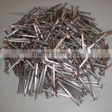 Stainless Steel 304 Nail thumbnail-1