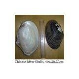 Sell Chinese River Shells Of Raw Materials thumbnail-1