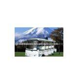 Electric Sightseeing Car /GLT1141 thumbnail-1