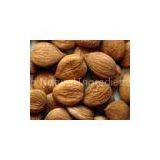 Natural Vitamin B17 Amygdalin thumbnail-2