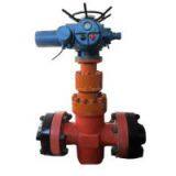 *ZJK-Ⅱ Intelligent Monitoring Unit for Water Injected Wells thumbnail-3