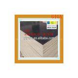 Factory Directly Sale Japan Ttwo Times Hot Pressing 1220*2440mm Construction Material thumbnail-1