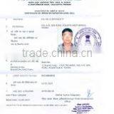 Trihandi company overview - view 2 thumbnail