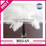 Wholesale Top Quality White Ostrich Plumes Feathers for Sale thumbnail-1