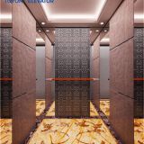 High Speed Passenger Elevator with Small Machine Room Residential Series and Stable Passenger Lift with Good Quality