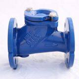 Cast Iron Check Valve thumbnail-1