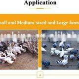 Convenient Small Scalding Equipment Slaughter Poultry Poultry Plucker Machinery thumbnail-6