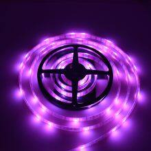 Chinese Factory Rgb Waterproof Decoration 72 Leds/m Led Strip Light thumbnail-2