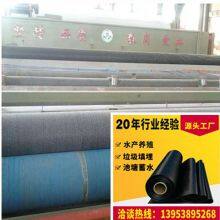 Ecological Restoration Project 5800g GCL Natural Nanobentonite Waterproof Blanket