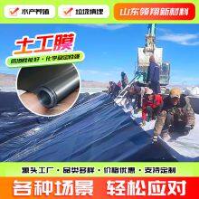 Lingxiang HDPE Geomembrane for Landfill Liner: Long Service Life, 6m Width thumbnail-1