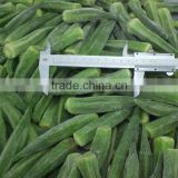 hot sale frozen okra in high quality