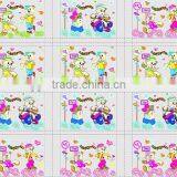 Liyang Cubic Printing Sliver Coated Pet Basin Film