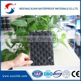 800gsm dimple drainage board for green roof garden