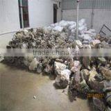 Guangzhou Focal Love Jewelry Co., Ltd. company overview - view 3 thumbnail