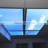 MICROSTONE Modern Design Customized Colorful SKY Led Ceiling Light