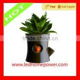 Ceramic Flower Pot thumbnail-1