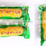 Automatic Stretch Film Thermoforming Vacuum Packaging Machine for Meats/Vegetable/Seafood thumbnail-2