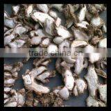 Lesser Galanga/ Kaempferia Galanga/ Sand Ginger thumbnail-3