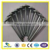 Smooth Shank Roofing Nail High Quality Made in China thumbnail-6