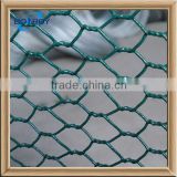pvc coating hexagonal wire mesh netting in china