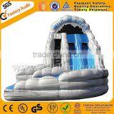 Giant Infaltable Water Slide for Amusement Park A4026