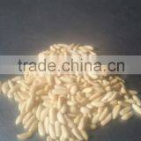 PINE NUT KERNEL thumbnail-1