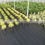 PP Woven Weed Mat for Protect Plants,weed Control Fabric,woven Plastic Mat thumbnail-1