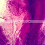 Chick Embryo Prepared Slides thumbnail-2