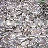 Sunflower Seeds 5009 thumbnail-1