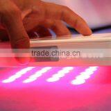 Most Popular Products 2 Cryo Handles Fat Skin Lifting Reduction Cryolipolysis Machine With Teaching Video Flabby Skin thumbnail-6