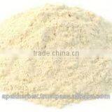 Apple Fruit Juice Powder Spray Dried / Fruit Juice Powder Apple / Apple Powder