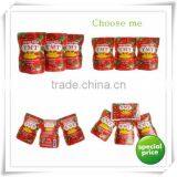 Red Colour High Quality Sachet Tomato Paste thumbnail-2