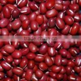 Vietnam small red bean for sale