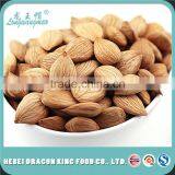 Bulk Sweet Apricot Seeds thumbnail-1
