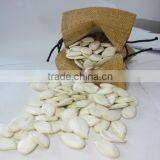 Heilongjiang Good Price Snow White Pumpkin Seed for Middle East thumbnail-3