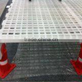 Plastic Chicken Floor thumbnail-1