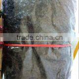 Health Seafood Red Alage Dried Laver Seaweed Porphyra Haitanensis thumbnail-5