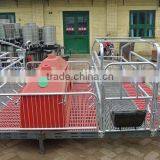 Pig Farming Equipment For Pig Farrow Crates thumbnail-6